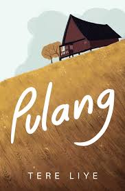 Buku Indonesia 3: Pulang